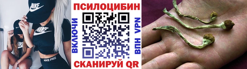 даркнет сайт  Чаплыгин  Псилоцибиновые грибы ЛСД 