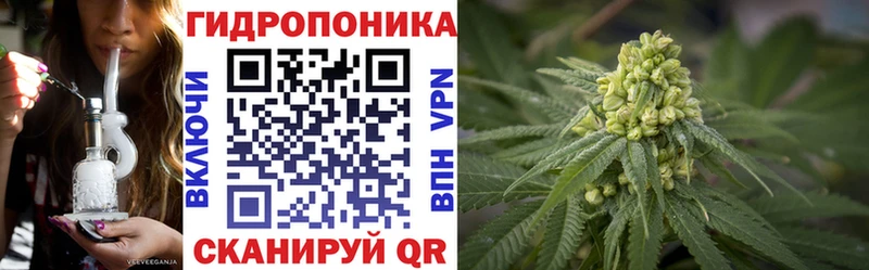 Каннабис AK-47  Чаплыгин 